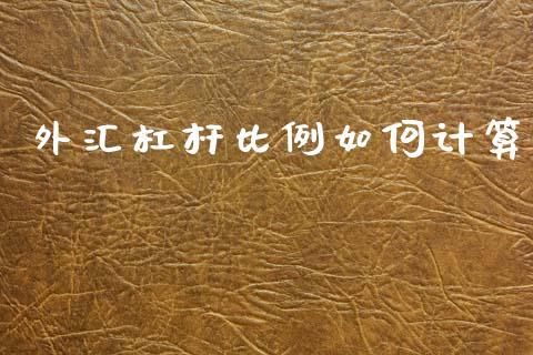 外汇杠杆比例如何计算_https://m.qmgjg.com_货币基金_第1张