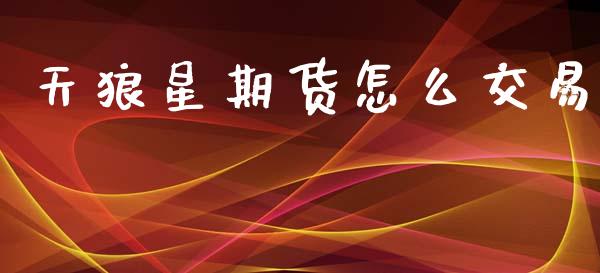 天狼星期货怎么交易_https://m.qmgjg.com_资金管理_第1张