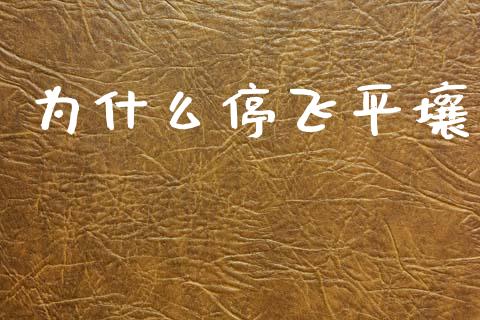 为什么停飞平壤_https://m.qmgjg.com_金融市场_第1张