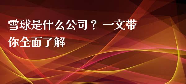 雪球是什么公司？ 一文带你全面了解_https://m.qmgjg.com_金融市场_第1张
