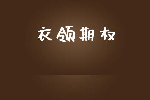 衣领期权_https://m.qmgjg.com_金融市场_第1张