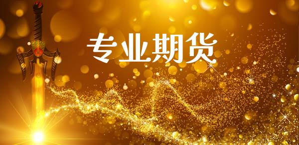 专业期货_https://m.qmgjg.com_资金管理_第1张
