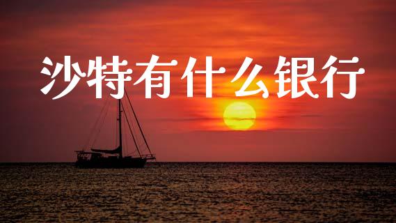 沙特有什么银行_https://m.qmgjg.com_货币基金_第1张