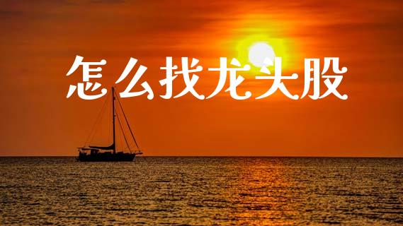 怎么找龙头股_https://m.qmgjg.com_货币基金_第1张