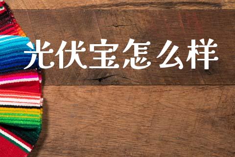 光伏宝怎么样_https://m.qmgjg.com_投资银行_第1张